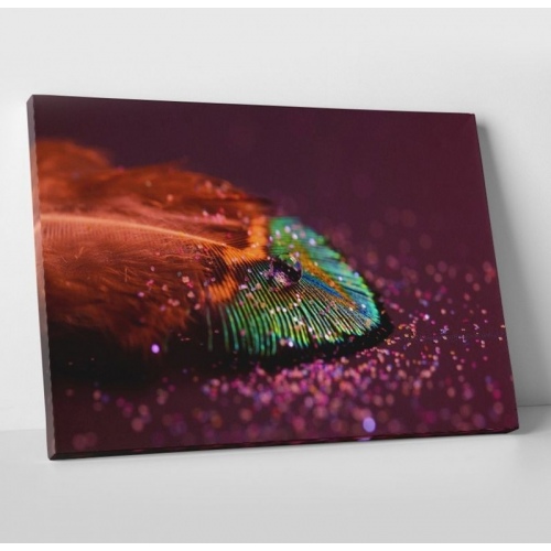 Plume brillante  - SWEET MURALE