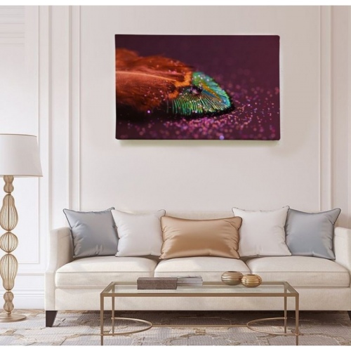 Plume brillante  - SWEET MURALE