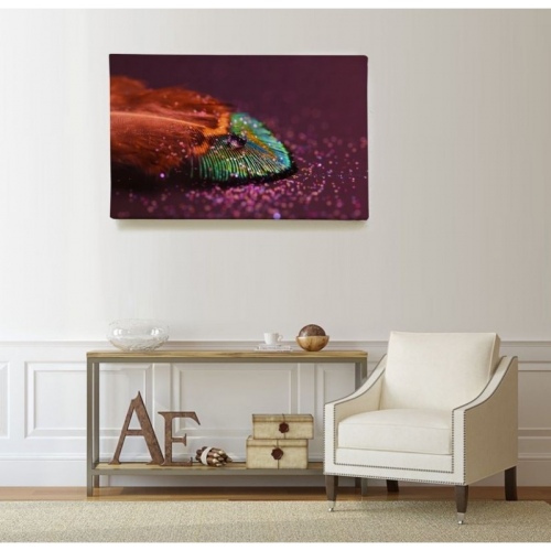 Plume brillante  - SWEET MURALE