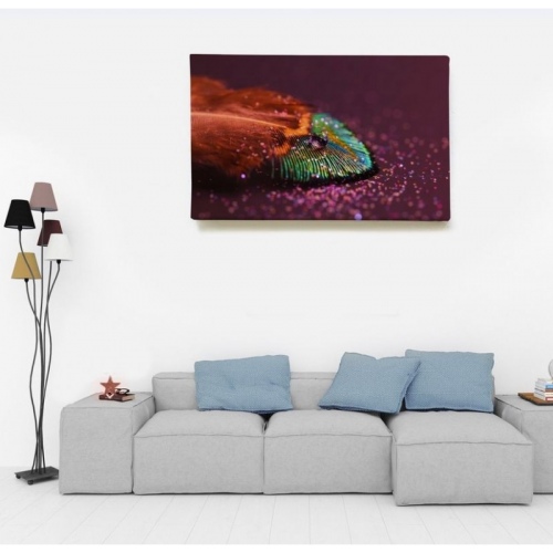 Plume brillante  - SWEET MURALE