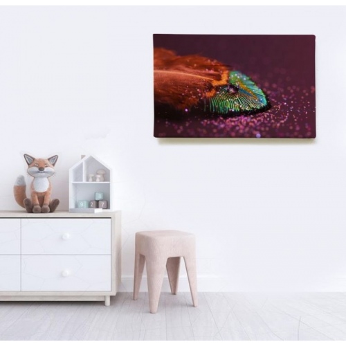 Plume brillante  - SWEET MURALE