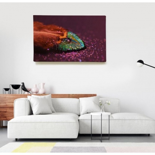 Plume brillante  - SWEET MURALE