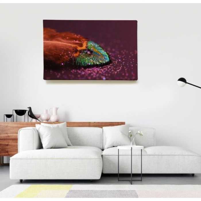 Plume brillante  - SWEET MURALE