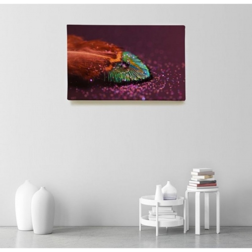 Plume brillante  - SWEET MURALE