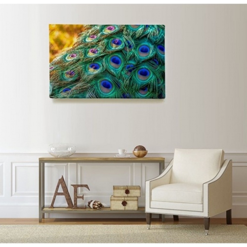 Peacock Feathers  - SWEET MURALE