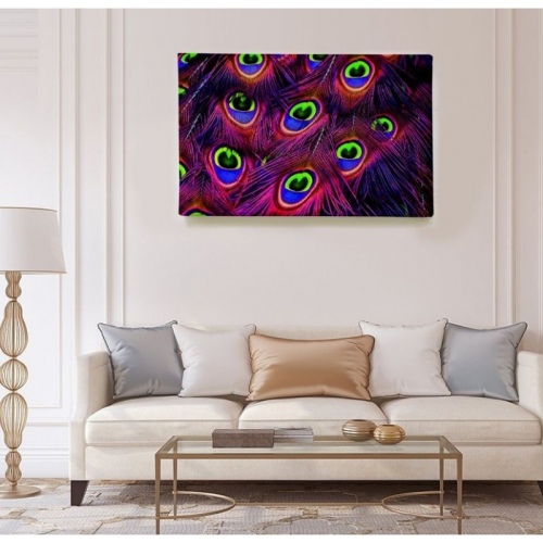 Multicolored Peacock Feathers  - SWEET MURALE