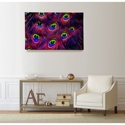 Multicolored Peacock Feathers  - SWEET MURALE