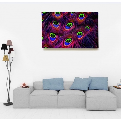 Multicolored Peacock Feathers  - SWEET MURALE