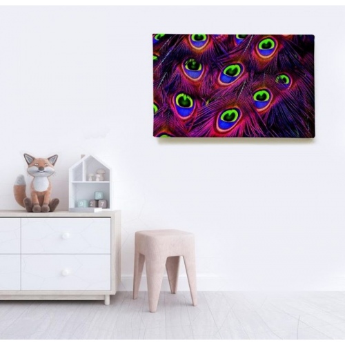 Multicolored Peacock Feathers  - SWEET MURALE