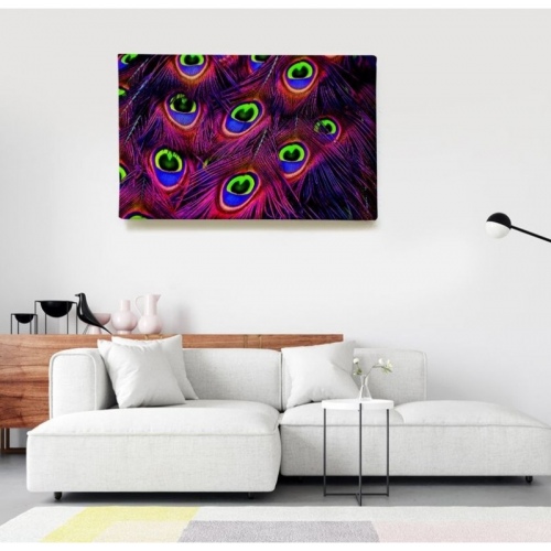 Multicolored Peacock Feathers  - SWEET MURALE