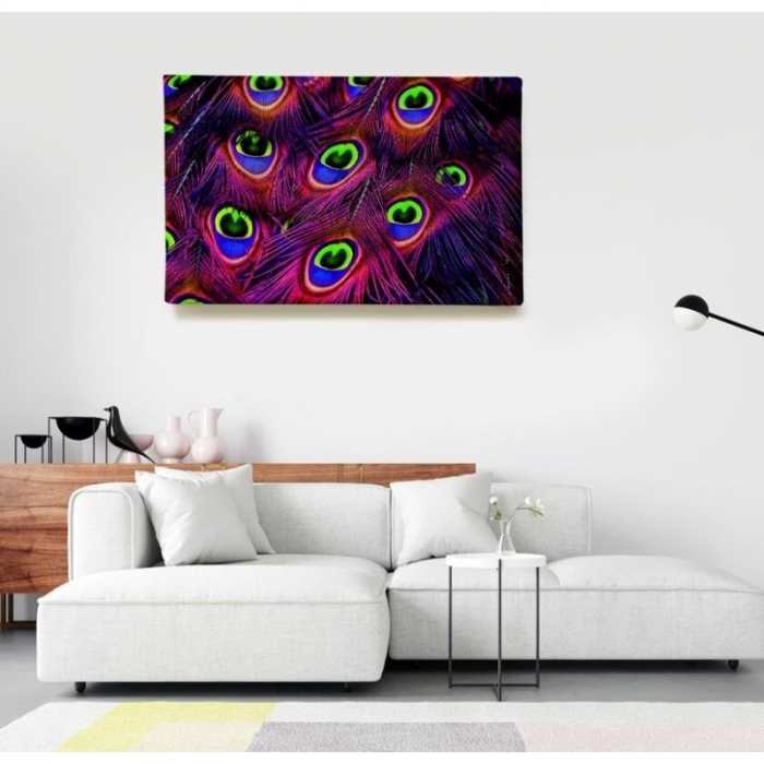 Multicolored Peacock Feathers  - SWEET MURALE