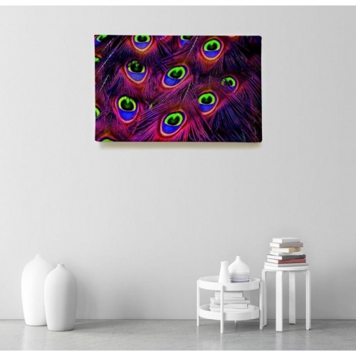 Multicolored Peacock Feathers  - SWEET MURALE