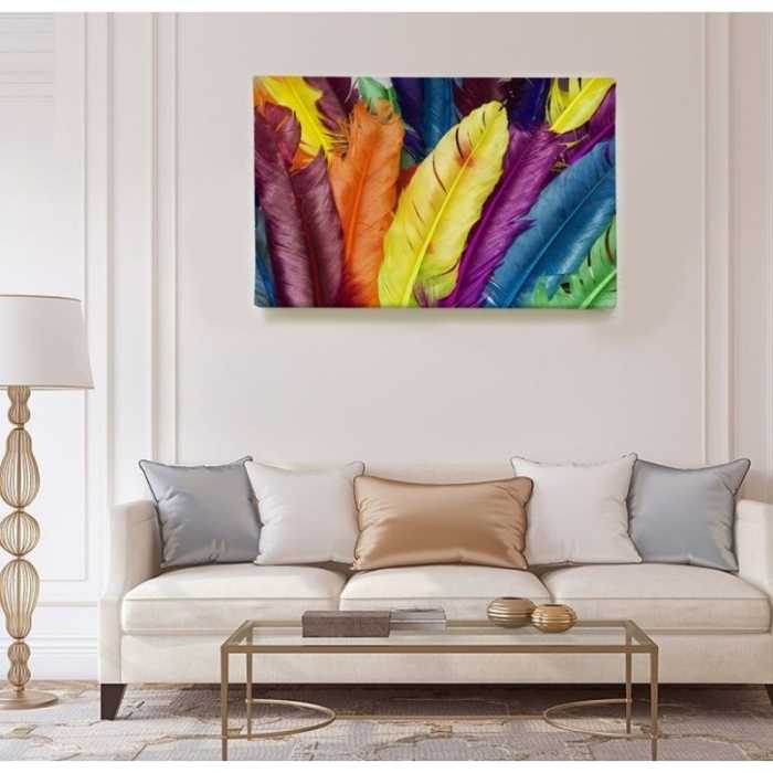 Multicolored Feathers  - SWEET MURALE