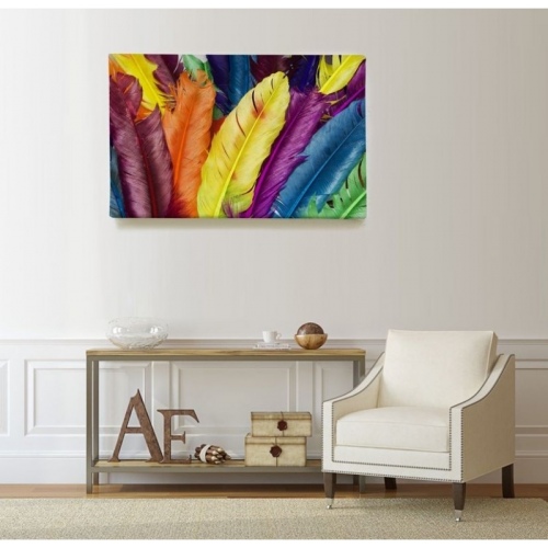 Multicolored Feathers  - SWEET MURALE