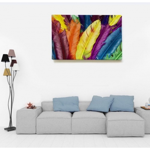 Multicolored Feathers  - SWEET MURALE