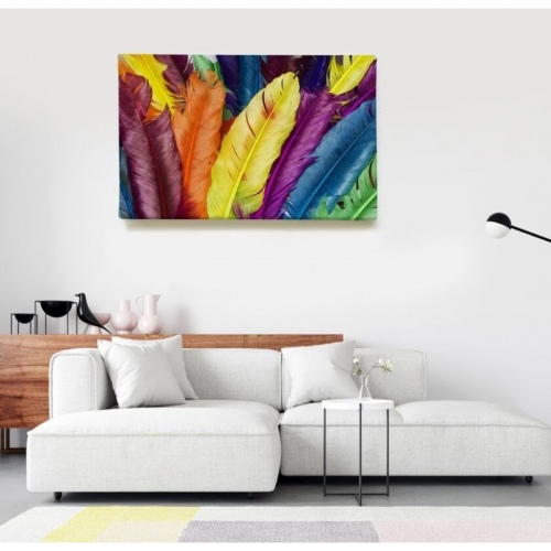 Multicolored Feathers  - SWEET MURALE