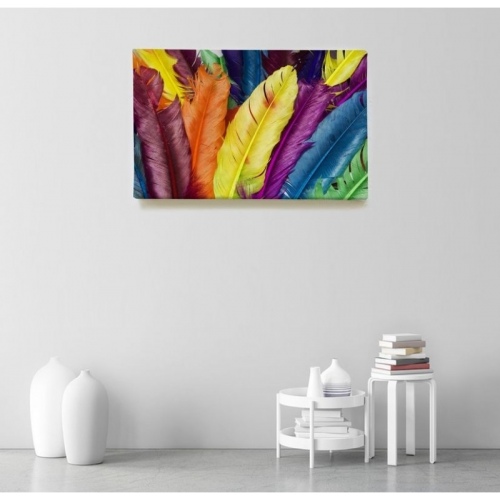 Multicolored Feathers  - SWEET MURALE