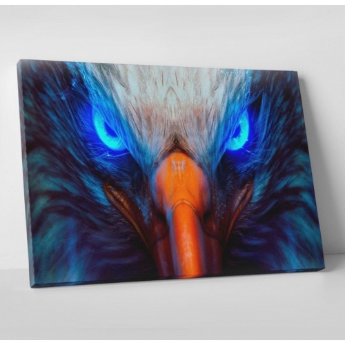 Eagle gaze  - SWEET MURALE