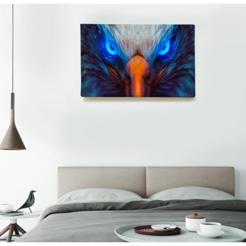 Eagle gaze  - SWEET MURALE