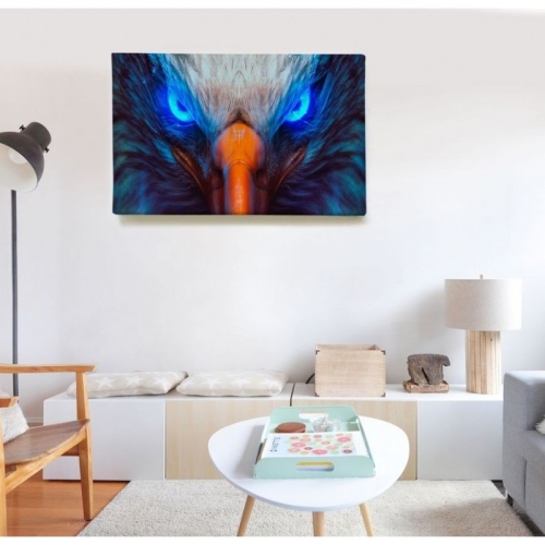 Eagle gaze  - SWEET MURALE