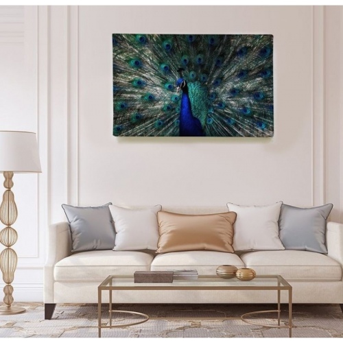 Peacock Wheel  - SWEET MURALE