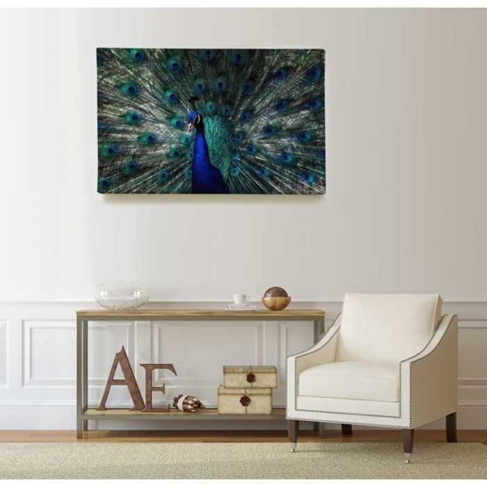 Roue du Paon  - SWEET MURALE