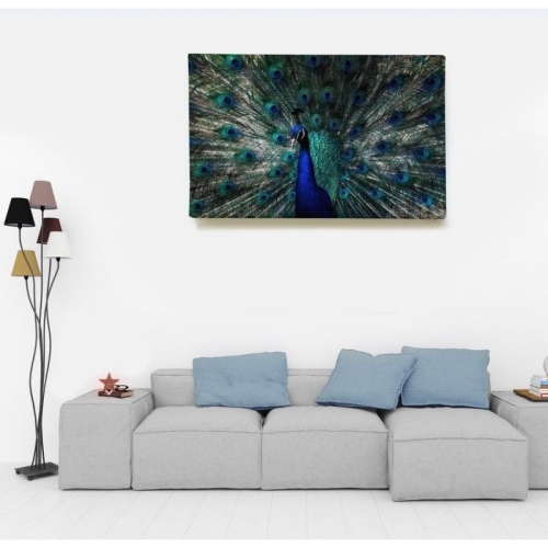 Roue du Paon  - SWEET MURALE