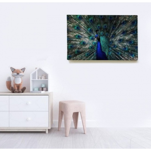 Roue du Paon  - SWEET MURALE