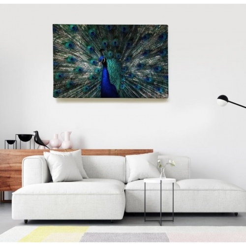 Roue du Paon  - SWEET MURALE