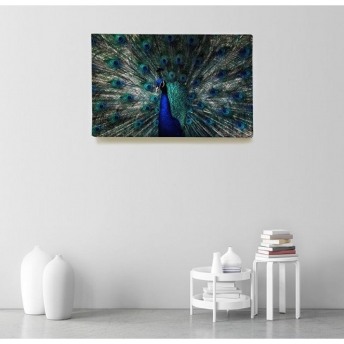 Roue du Paon  - SWEET MURALE