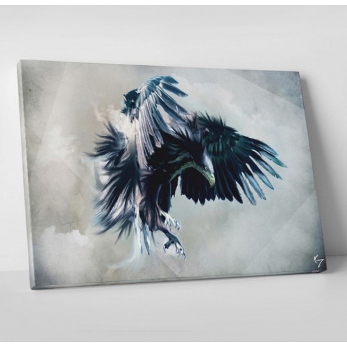 Aigle  - SWEET MURALE