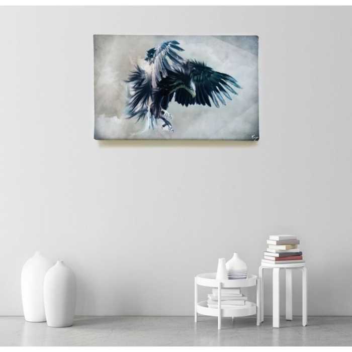 Aigle  - SWEET MURALE