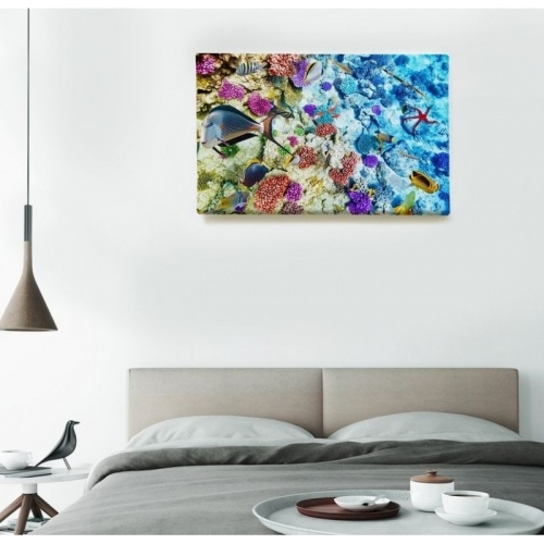 Biodiversité marine  - SWEET MURALE