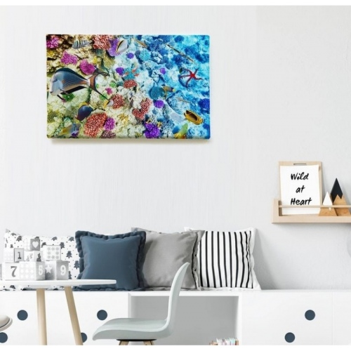 Biodiversité marine  - SWEET MURALE