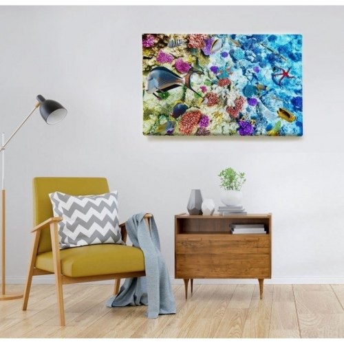 Biodiversité marine  - SWEET MURALE