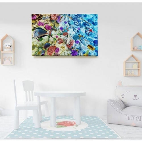 Biodiversité marine  - SWEET MURALE