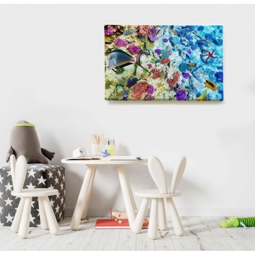 Biodiversité marine  - SWEET MURALE