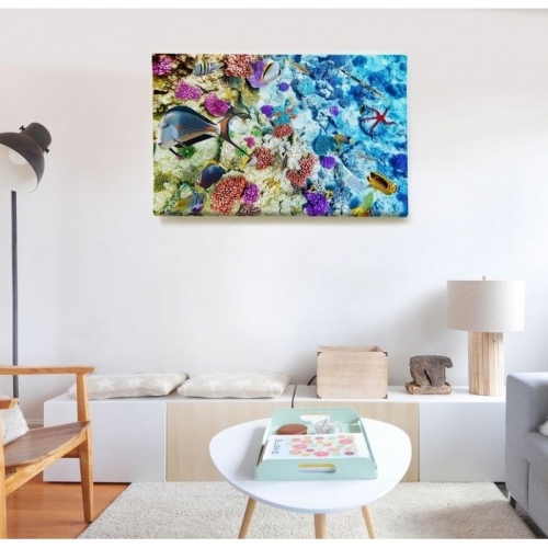 Biodiversité marine  - SWEET MURALE