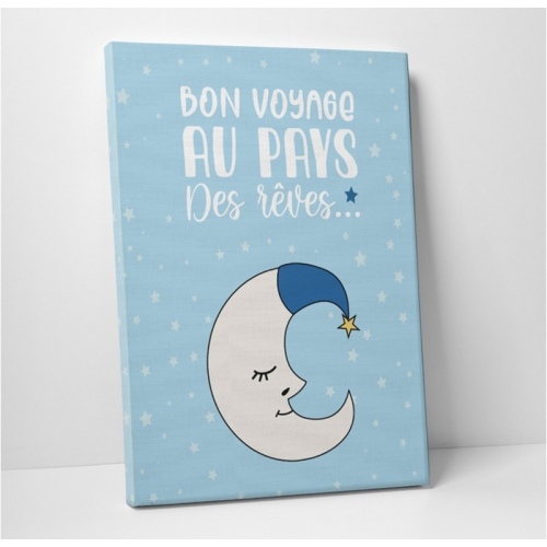 Have a nice trip to blue dreamland -  Illustrations - SWEET MURALE