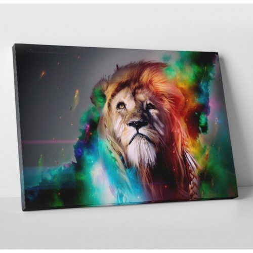 Multicolored mane  - SWEET MURALE