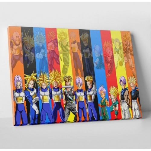 Dragon Ball Z 2  - SWEET MURALE