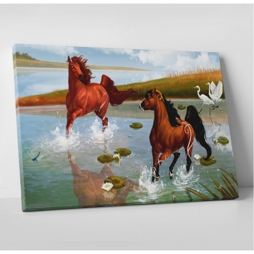 Gallops in the water  - SWEET MURALE
