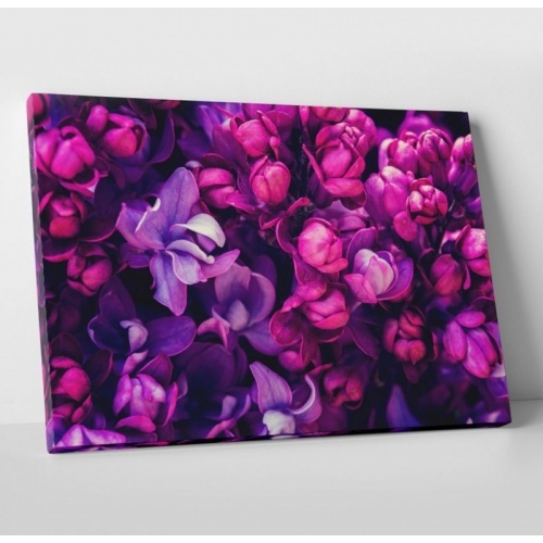 Garden Bloom  - SWEET MURALE