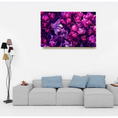 Garden Bloom  - SWEET MURALE