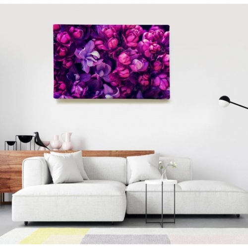 Garden Bloom  - SWEET MURALE