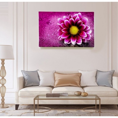 Gerbera rose  - SWEET MURALE