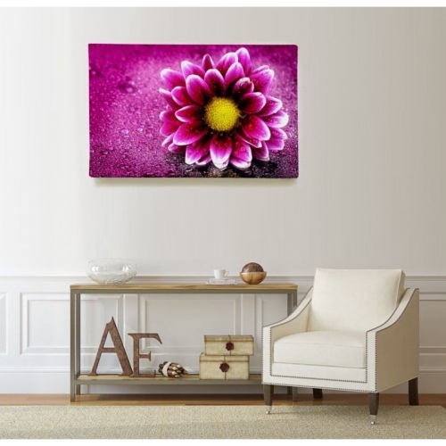 Pink gerbera  - SWEET MURALE