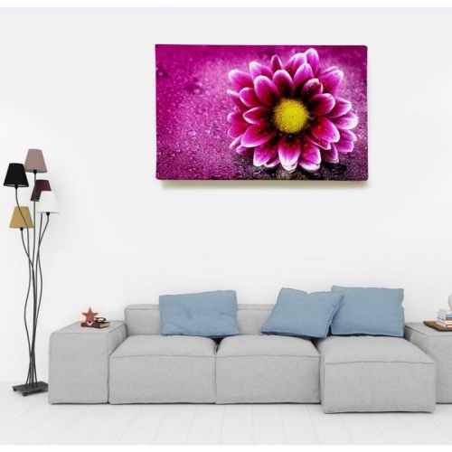 Pink gerbera  - SWEET MURALE