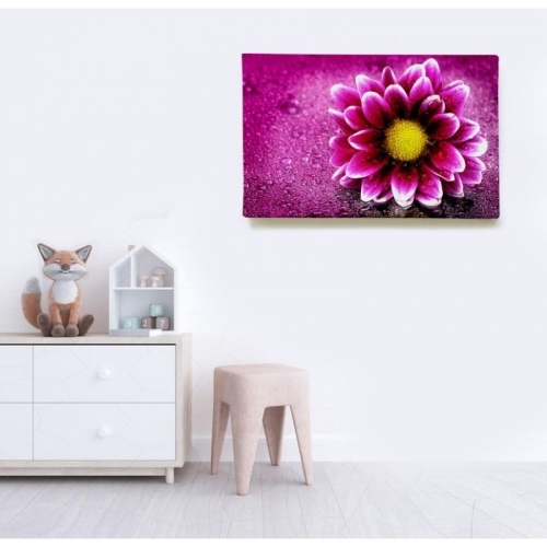 Pink gerbera  - SWEET MURALE