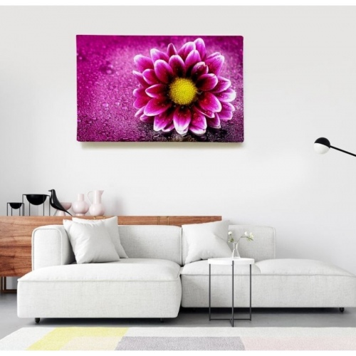 Pink gerbera  - SWEET MURALE
